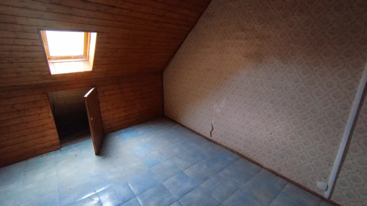 1695286740780.jpg