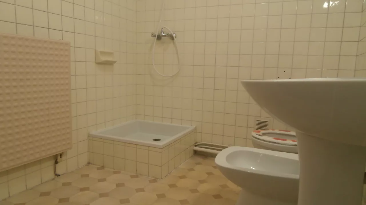 P1160012.jpg