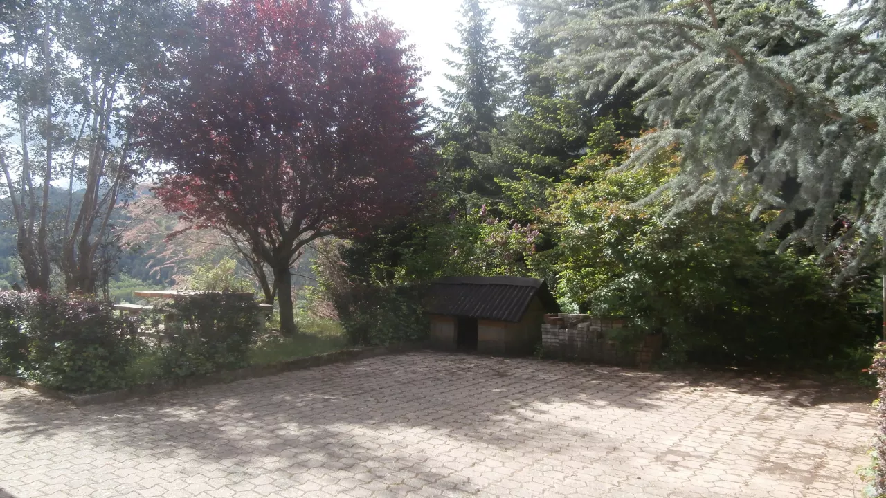 P5280037.jpg
