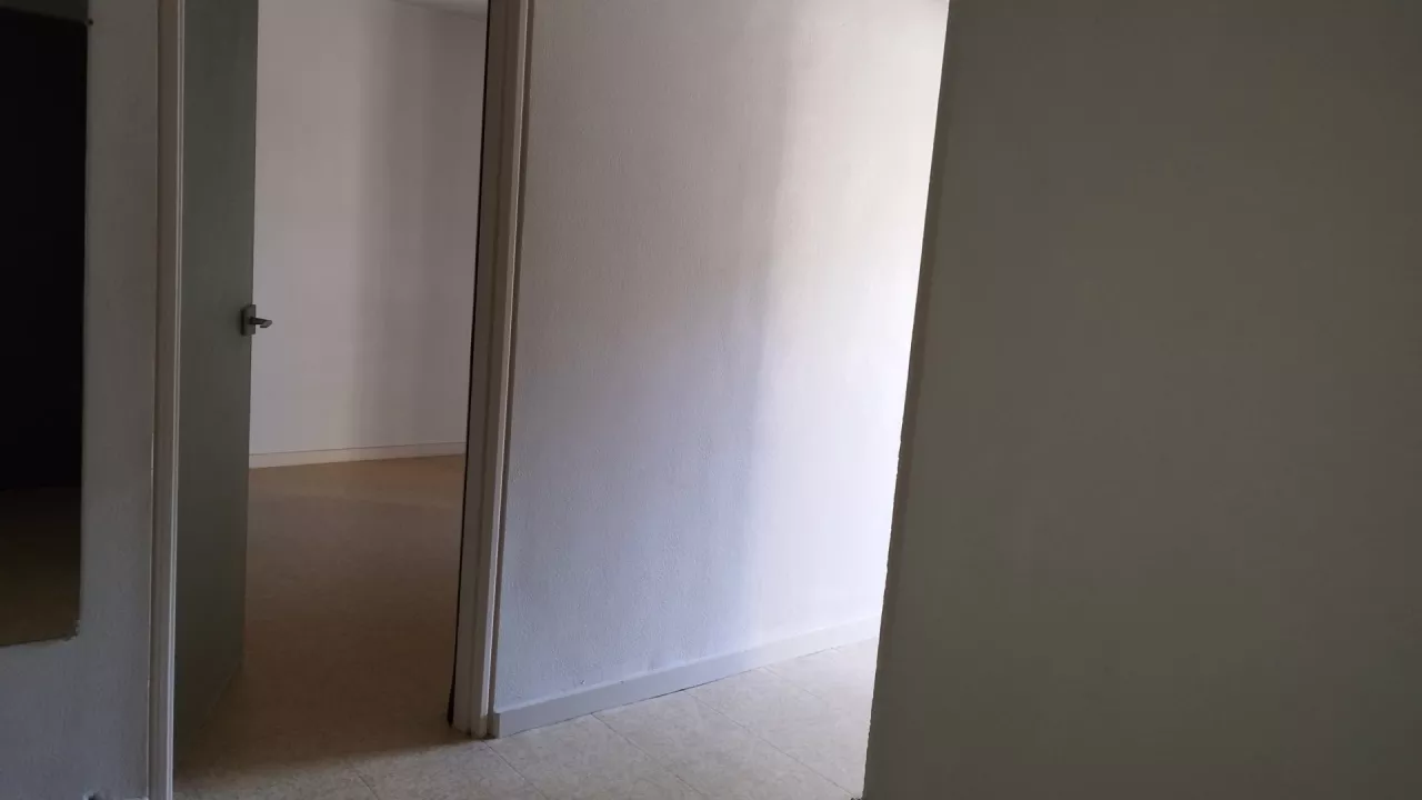 Appartement-1-piece-42-m2-1
