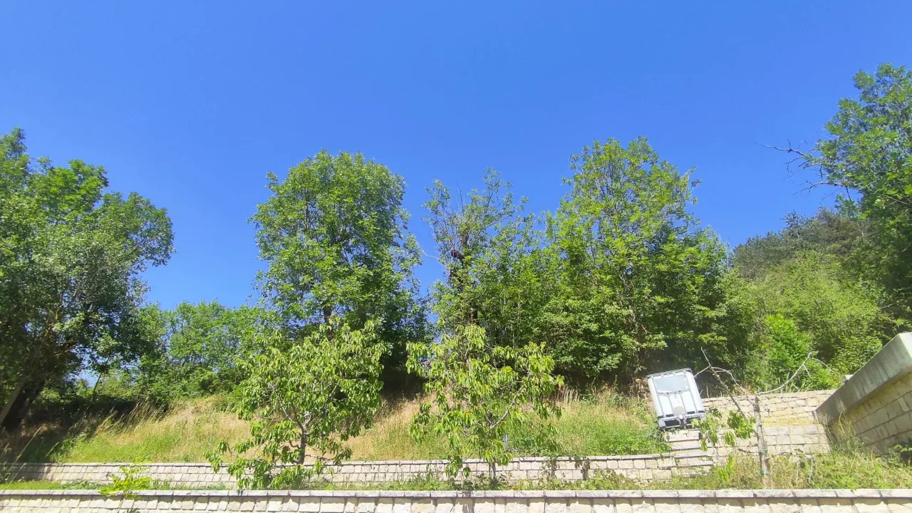 Chanac-Maison-plain-pied-dans-un-ecrin-de-verdure-de-4000-m2-8