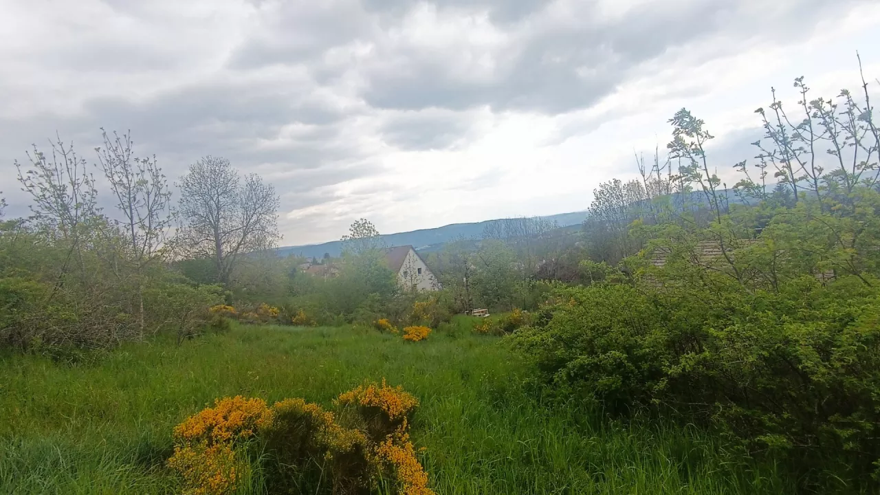 Grand-terrain-au-Chastel-Nouvel-0