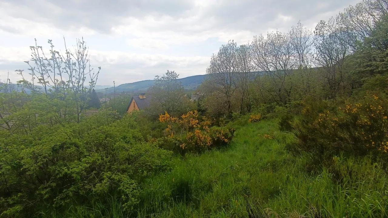 Grand-terrain-au-Chastel-Nouvel-1