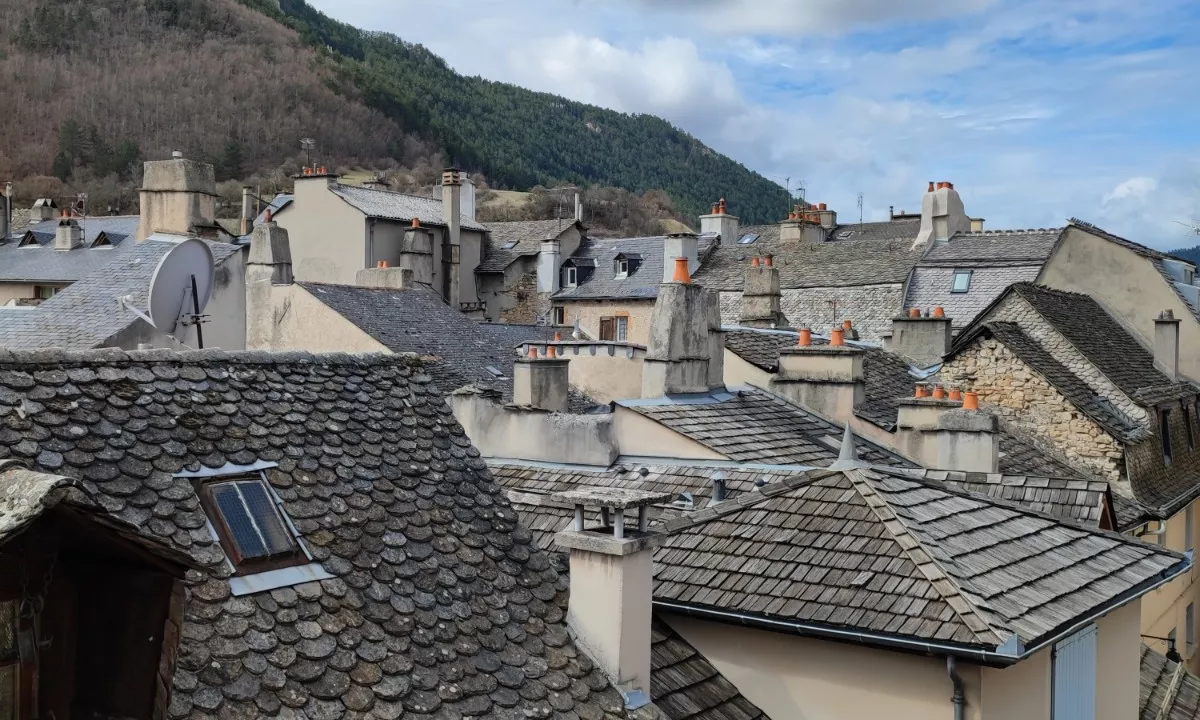 Maison-de-ville-a-Mende-4