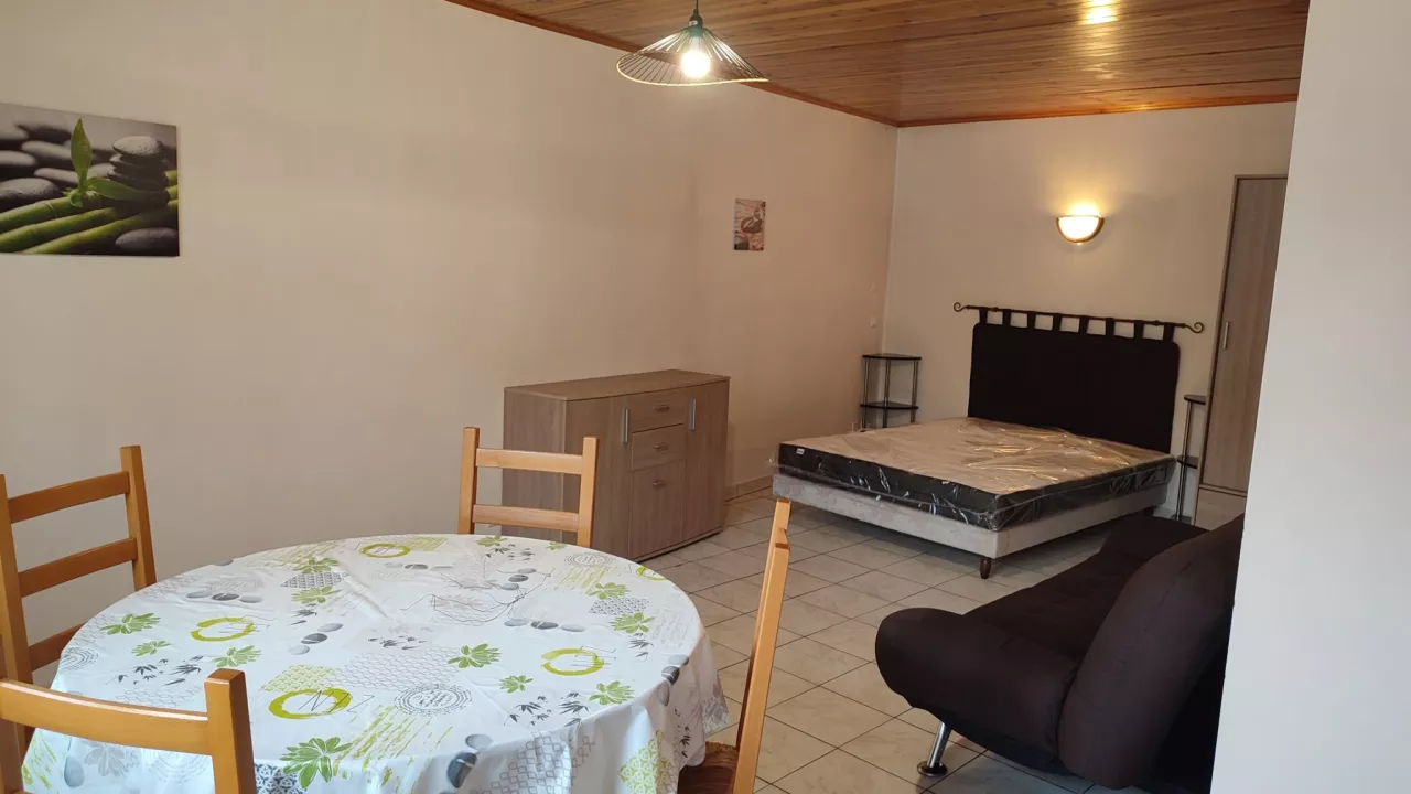 Studio-29-m2-proche-centre-ville-de-Mende-Libre-de-suite-2