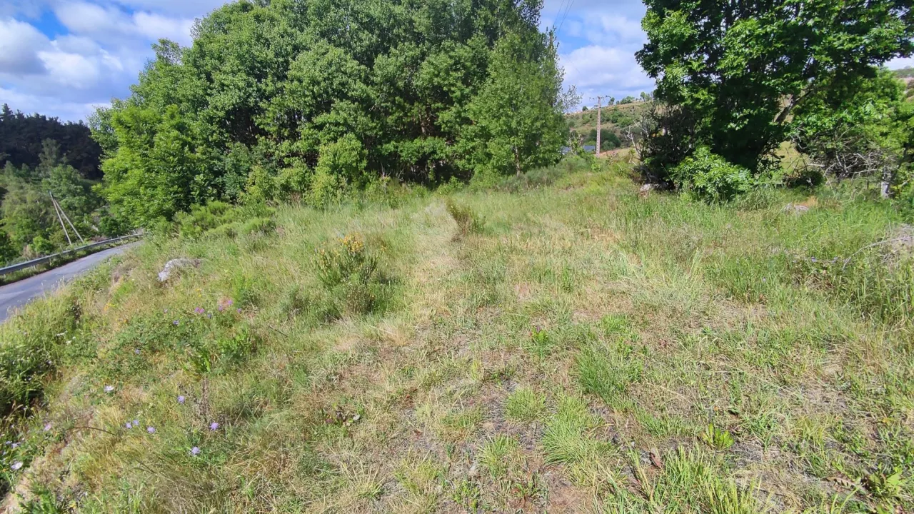 Terrain-de-3-200-m2-proche-de-Rieutort-de-Randon-0