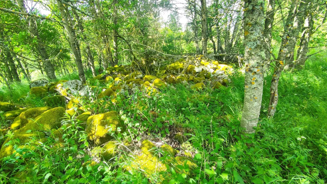 Terrain-de-3-200-m2-proche-de-Rieutort-de-Randon-3