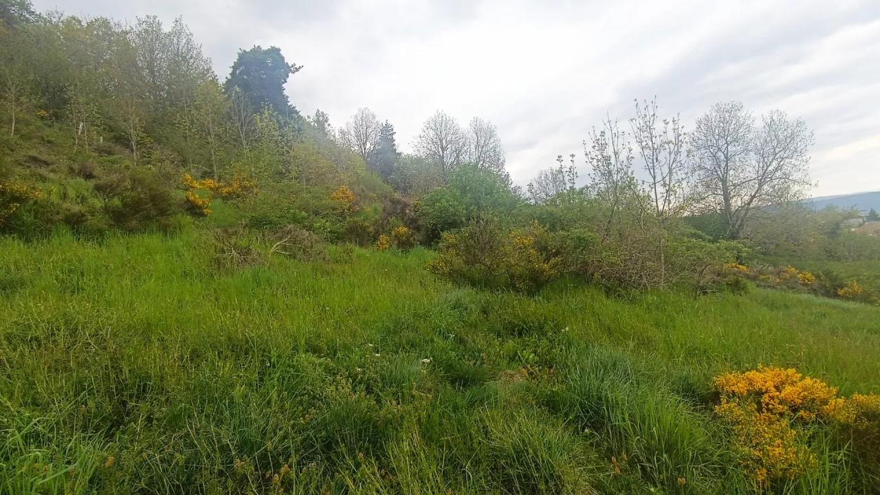 Grand-terrain-au-Chastel-Nouvel