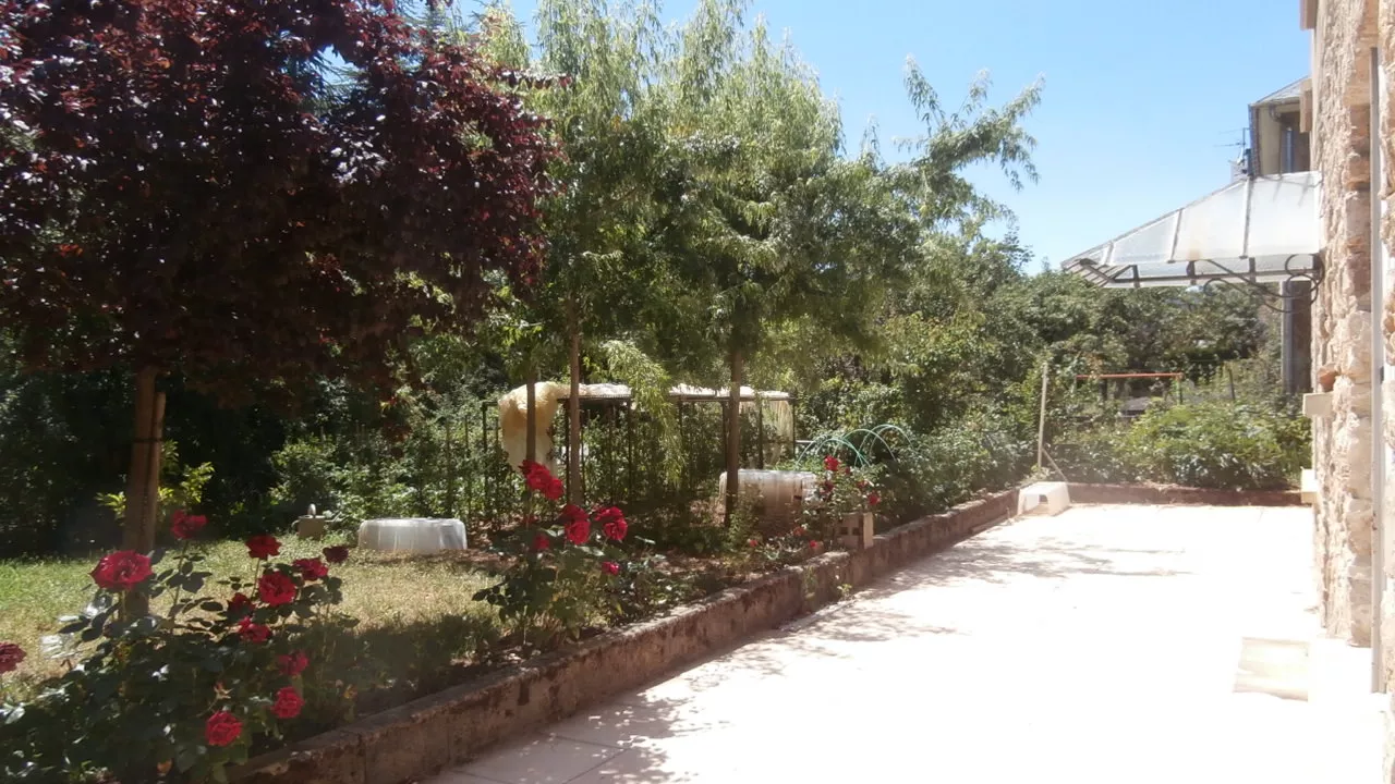 P6300009.jpg