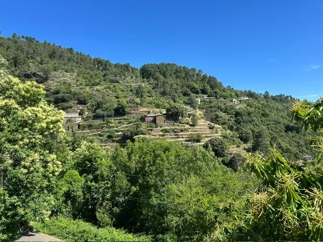 Maison avec terrasse à acheter à Saint-Germain-De-Calberte