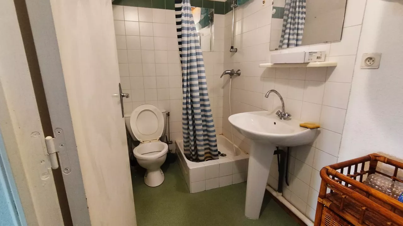 F2 duplex 29m2 centre ville de Mende